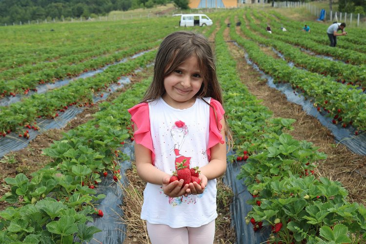 Sakarya'da genç kuşağa 'tarım' aşısı -