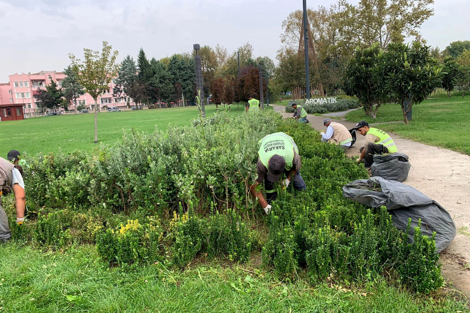 Sakarya'da şehrin dört bir yanına sonbahar dokunuşu -