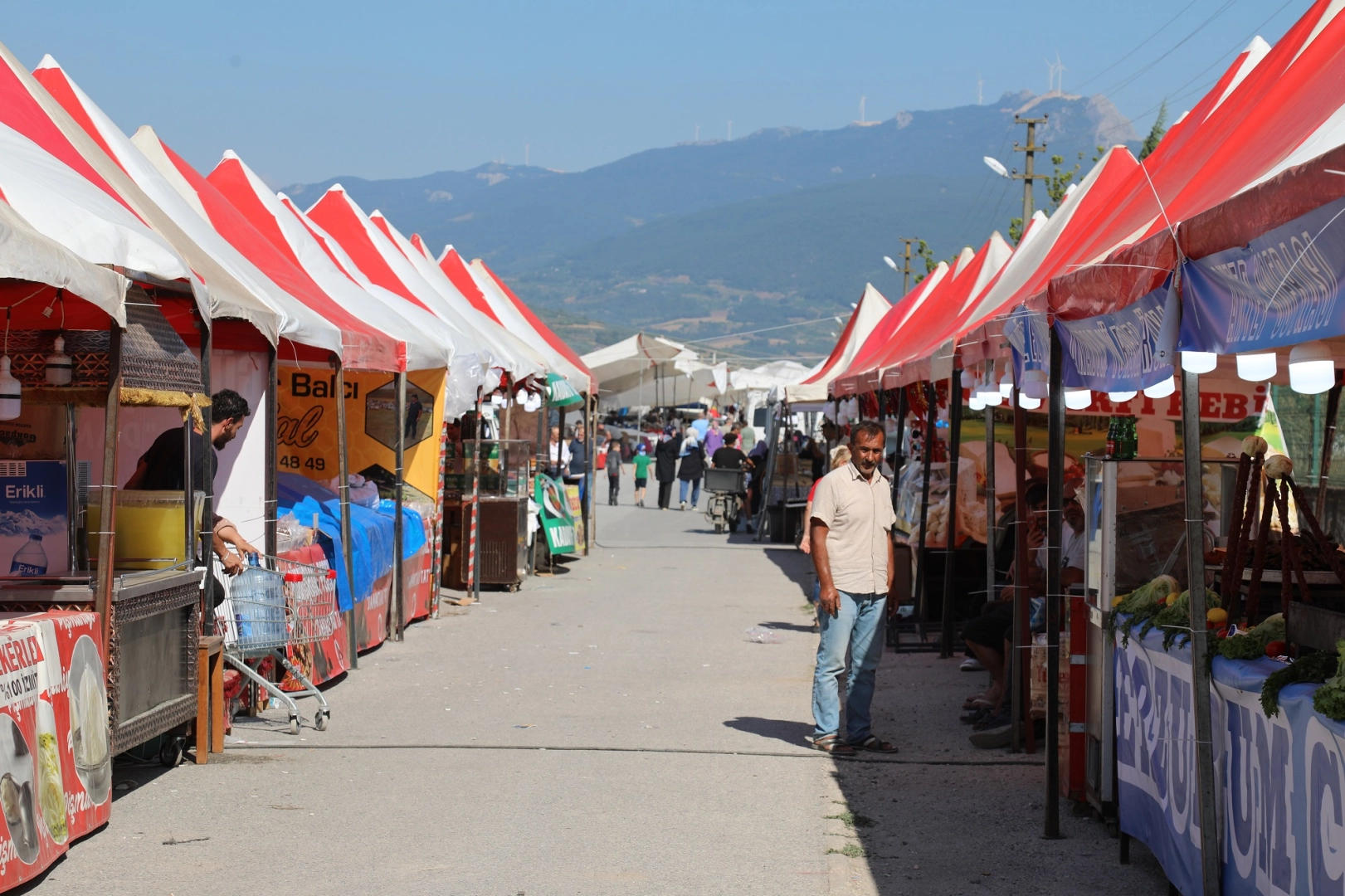 Sakarya Geyve'de panayır coşkusu -