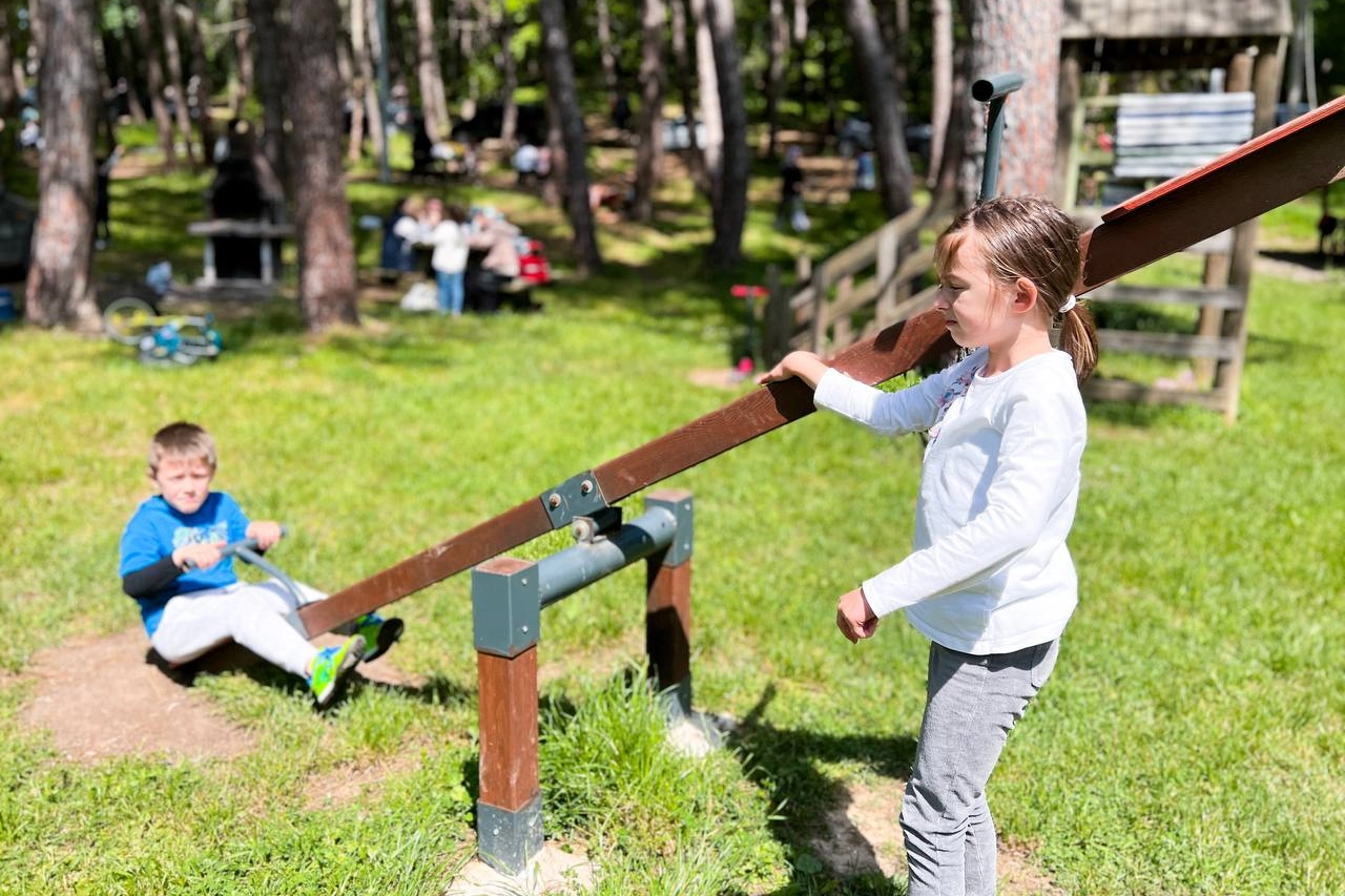 Sakarya'nın benzersiz doğası İl Ormanı Tabiat Parkı -