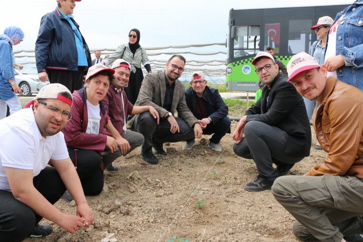 Sakarya'nın özel öğrencileri fideleri toprakla buluşturdu -