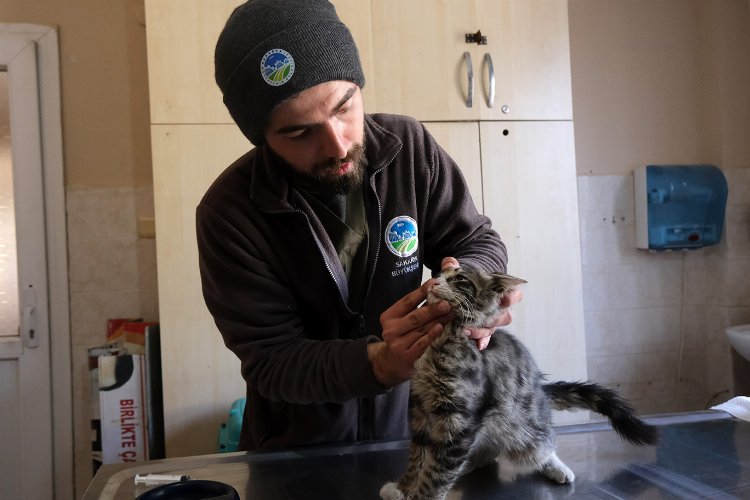 Sakarya'nın veteriner ekibi Antakya'da can dostlarının yanında -