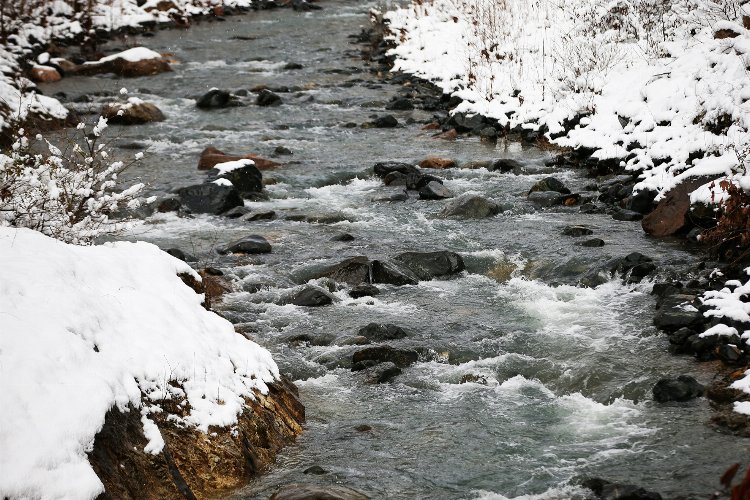 Sakarya, Sapanca Gölü'nü geleceğe taşıyor