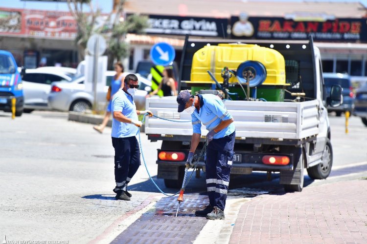 Sivrisineğin nedeni küresel iklim krizi mi? -