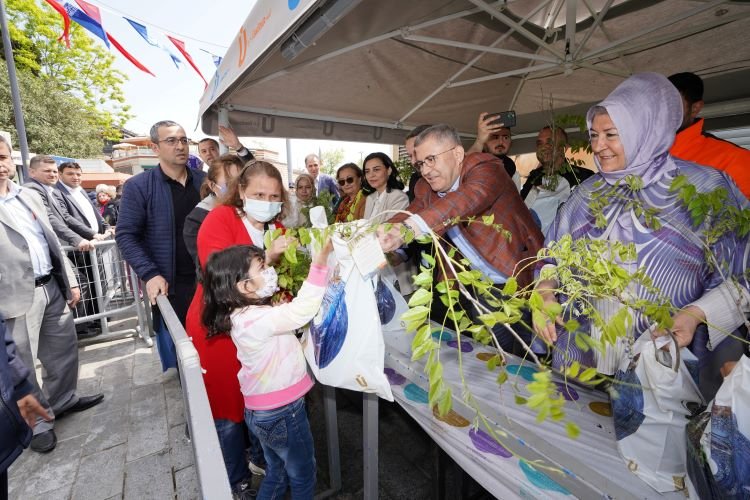 Üsküdar'da Mor Salkım Şenliği ile bahar geldi -