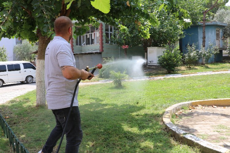 Somalı muhtarlar ilaçlama çalışmasında -