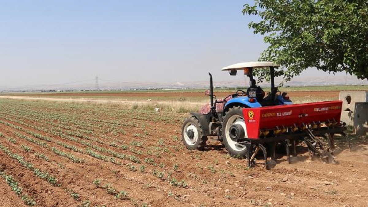 Tarımda kimyasal gübre azalıyor