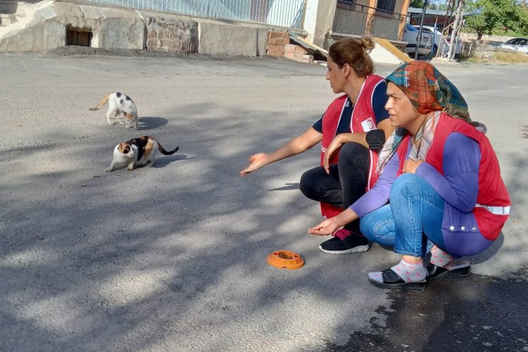 Türk Kızılay'dan Malatya'da 'engelsiz' etkinlik -