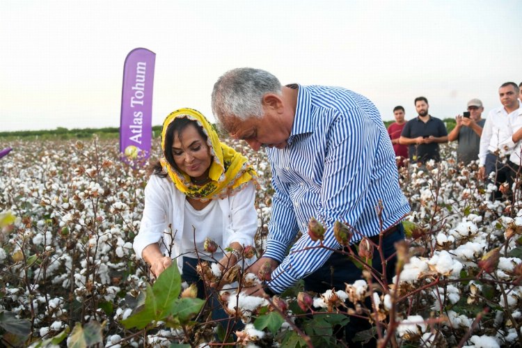 Türkan Şoray, kendi adının verildiği pamuğun hasadına katıldı -