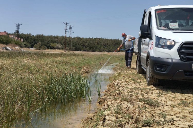 Veterinerlik İşleri Müdürlüğü larvasit mücadelesini sürdürüyor -