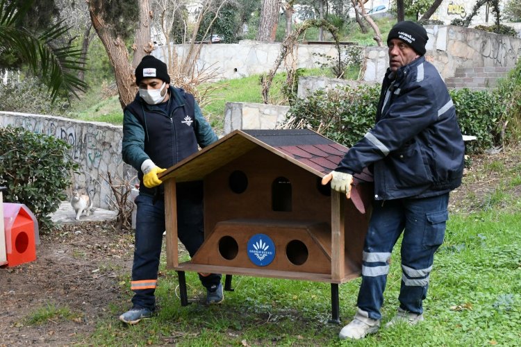 İzmir Karabağlar'da parklara kedi evleri yerleştiriliyor -