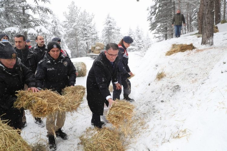 Tokat'ta yaban hayvanları için doğaya yem bıraktılar -