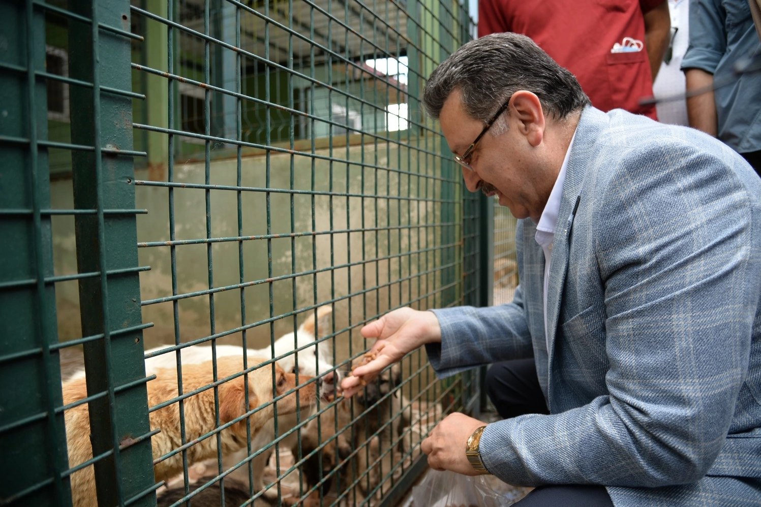 Trabzon sahipsiz köpek sorununda örnek olacak -