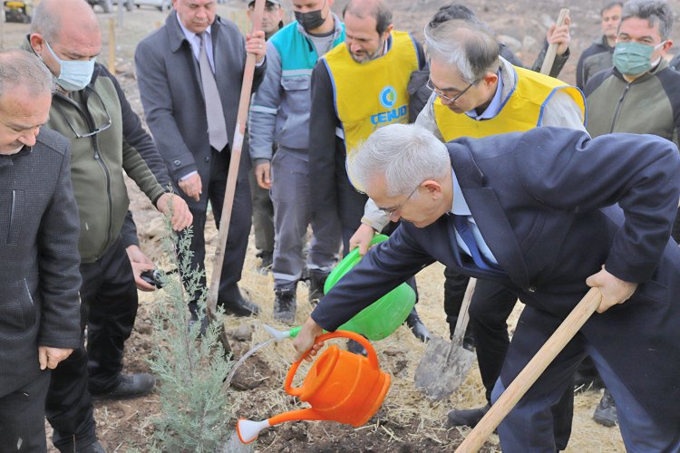 Türkiye-Kore dostluğu fidanlarla kökleşti -