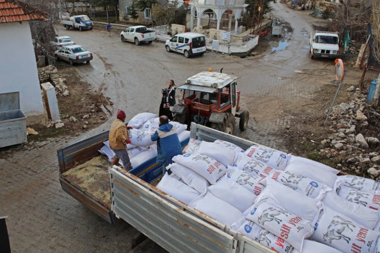 Üreticilere süt yemi desteği -