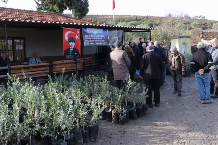 Yangın mağdurlarına Manisa Büyükşehir'den fidan desteği -