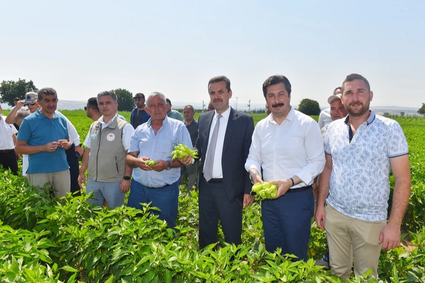 Yenişehir Biberi'nin marka değeri artacak -