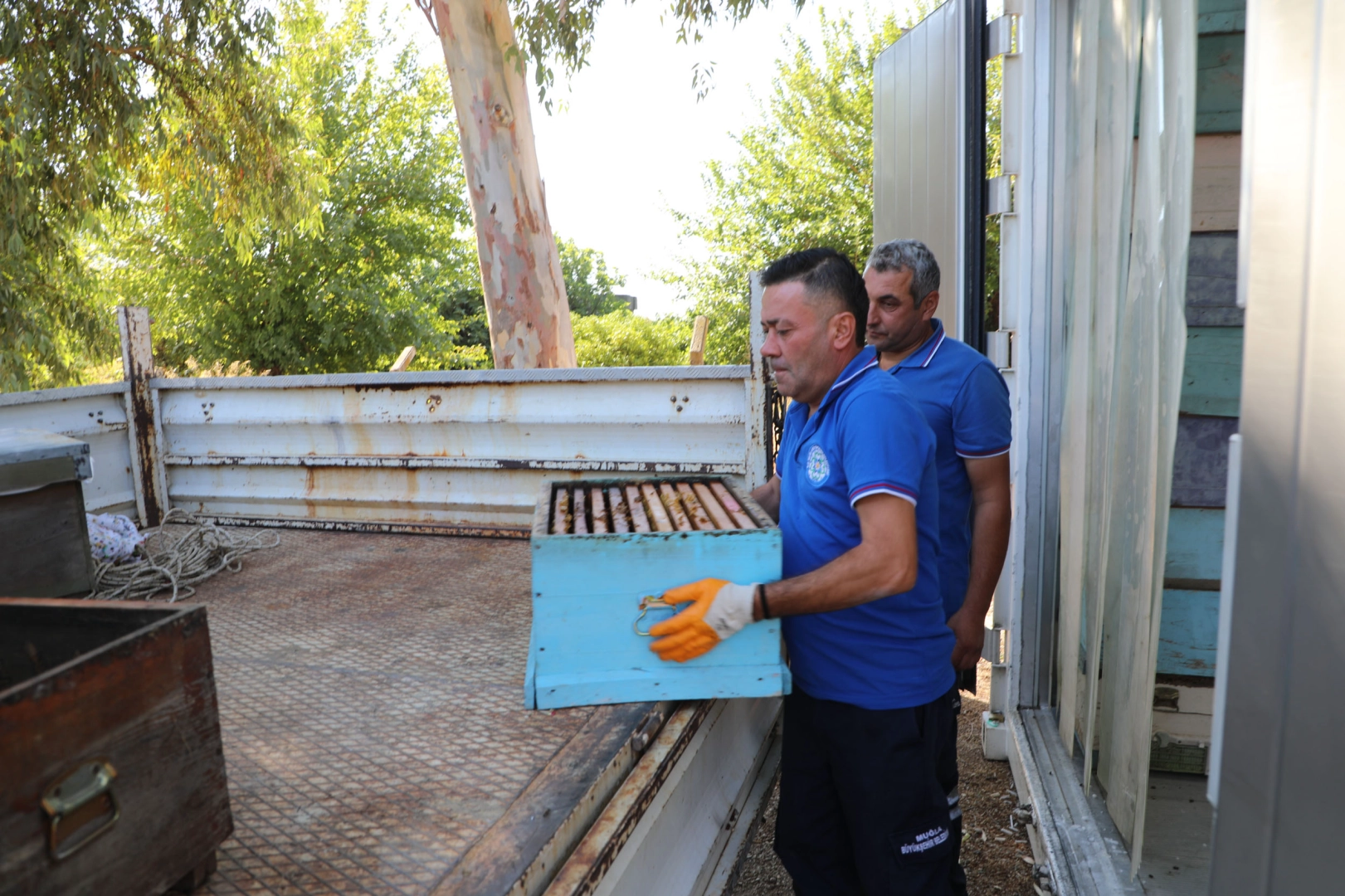 Yerel yönetimler arasında bir ilk: Temiz Petek Projesi -